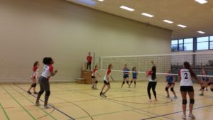 damen-3-gegen-ried