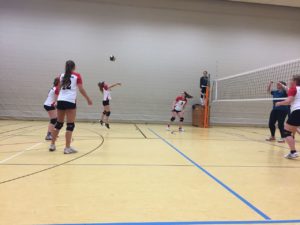 IMG-20171125-WA0008