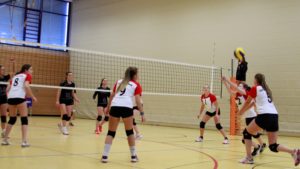 1908 7417 TSV D4 2019-11-09