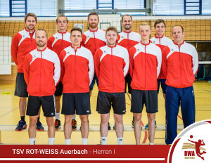 Herren1_TSV-Auerbach_Saison_19-20